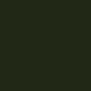 Glossy Forest Green 4565