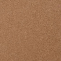 Amber 2343