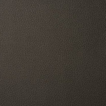 Anthracite 2379