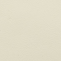 Ivory 2310