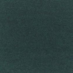 Midnight Teal