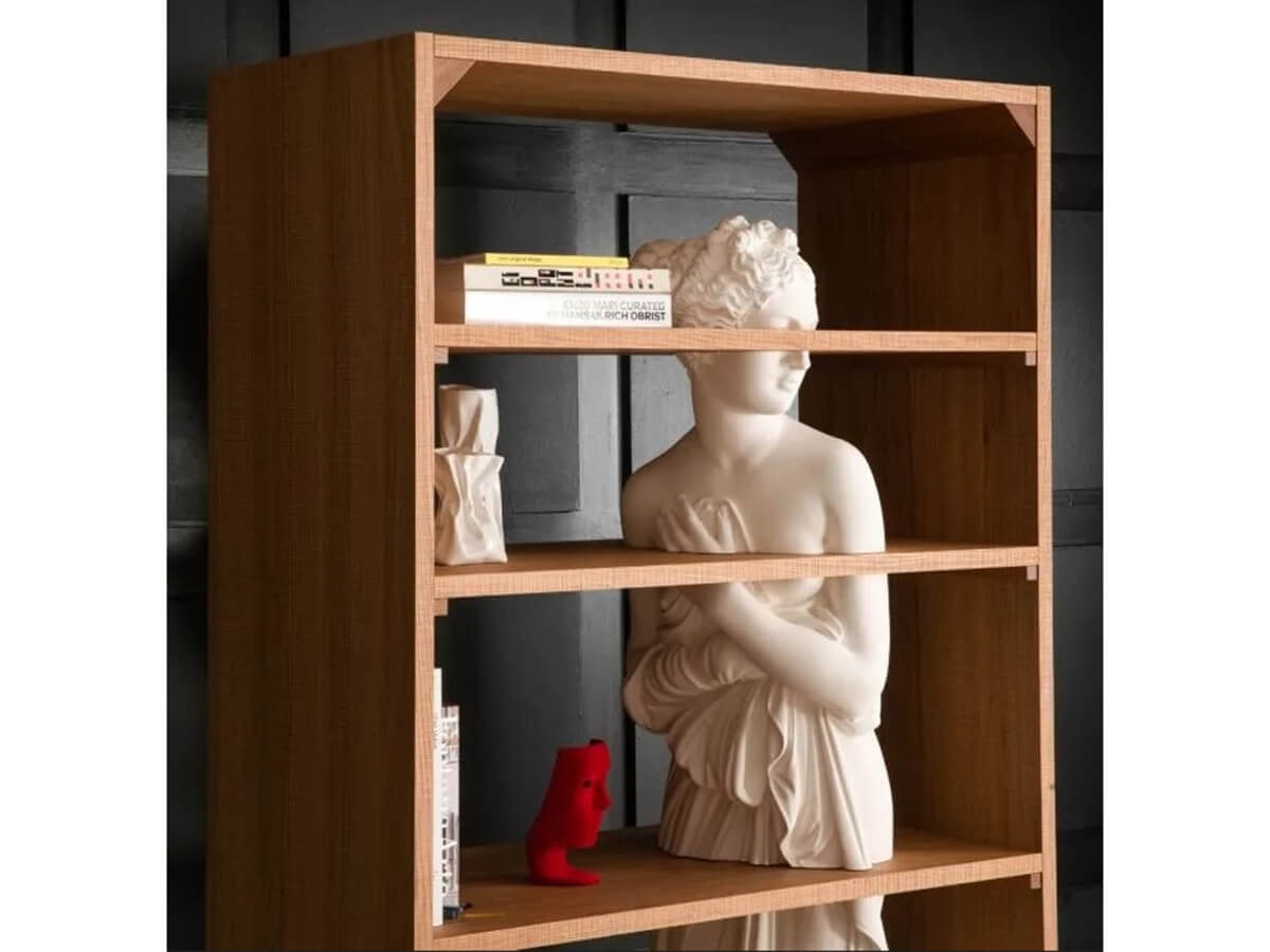 Venus Bookshelf