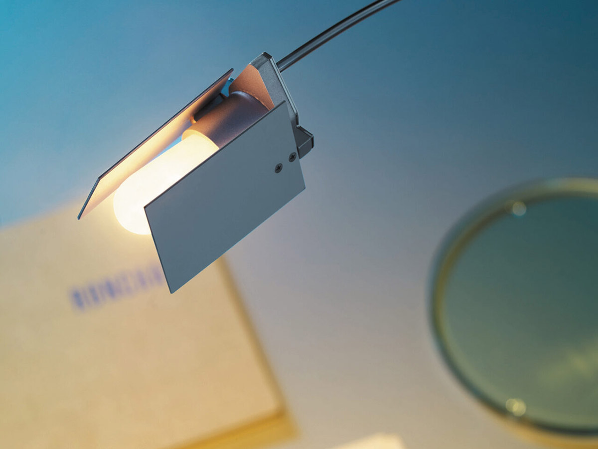 Falena Lampada da Tavolo