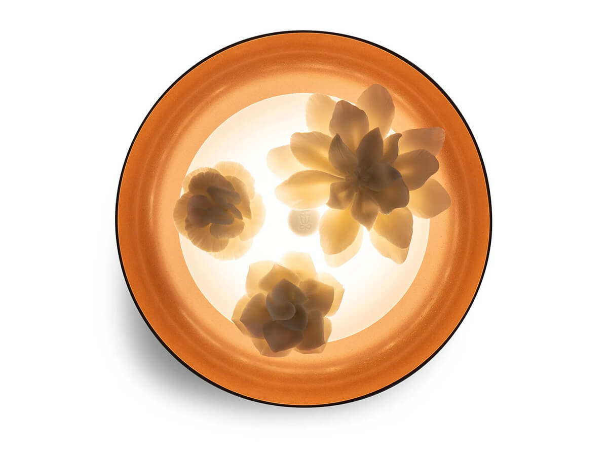 Bouquet Lampada da Parete